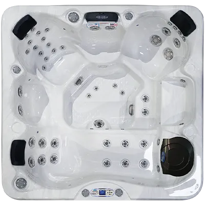 Avalon EC-849L hot tubs for sale in Rogers