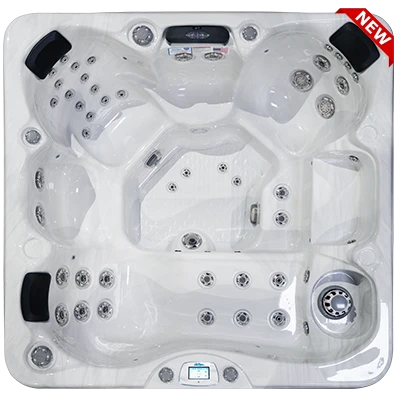 Avalon-X EC-849LX hot tubs for sale in Rogers