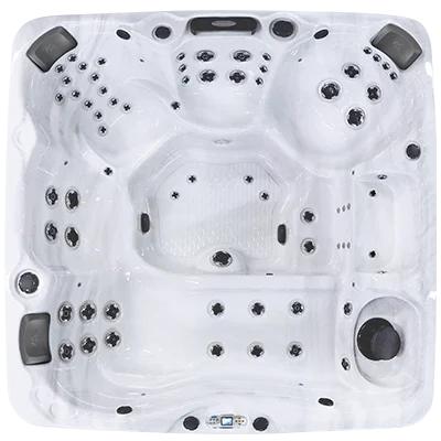 Avalon EC-867L hot tubs for sale in Rogers