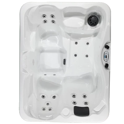 Kona PZ-519L hot tubs for sale in Rogers